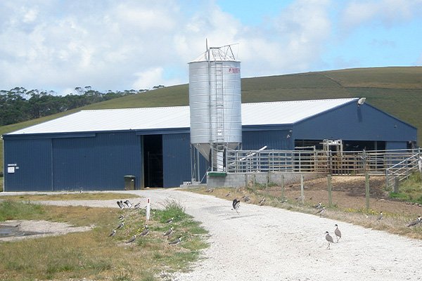 farm dairy sheds hobart