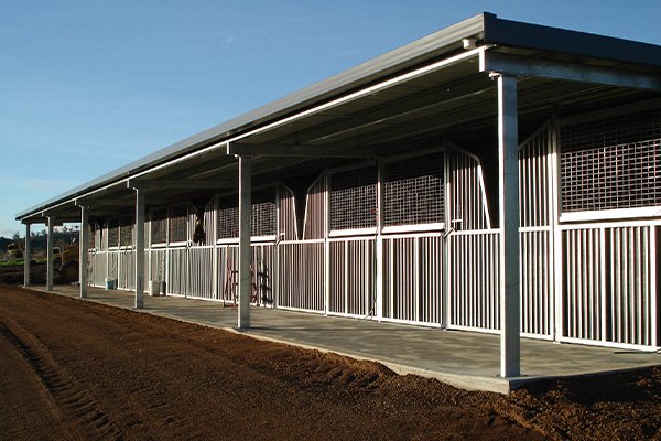 horse stables builder hobart sheds